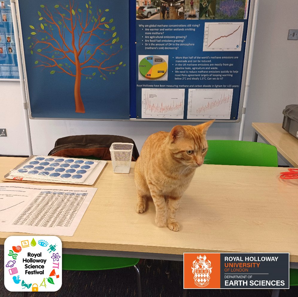 RHUL Earth Sciences tweet media