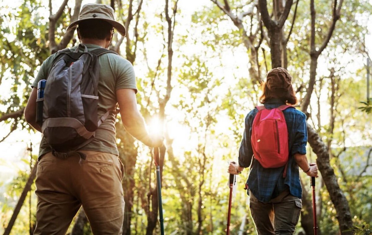 SNÖ Hotels tweet media