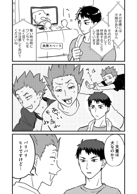 マブダチ 疑惑 
