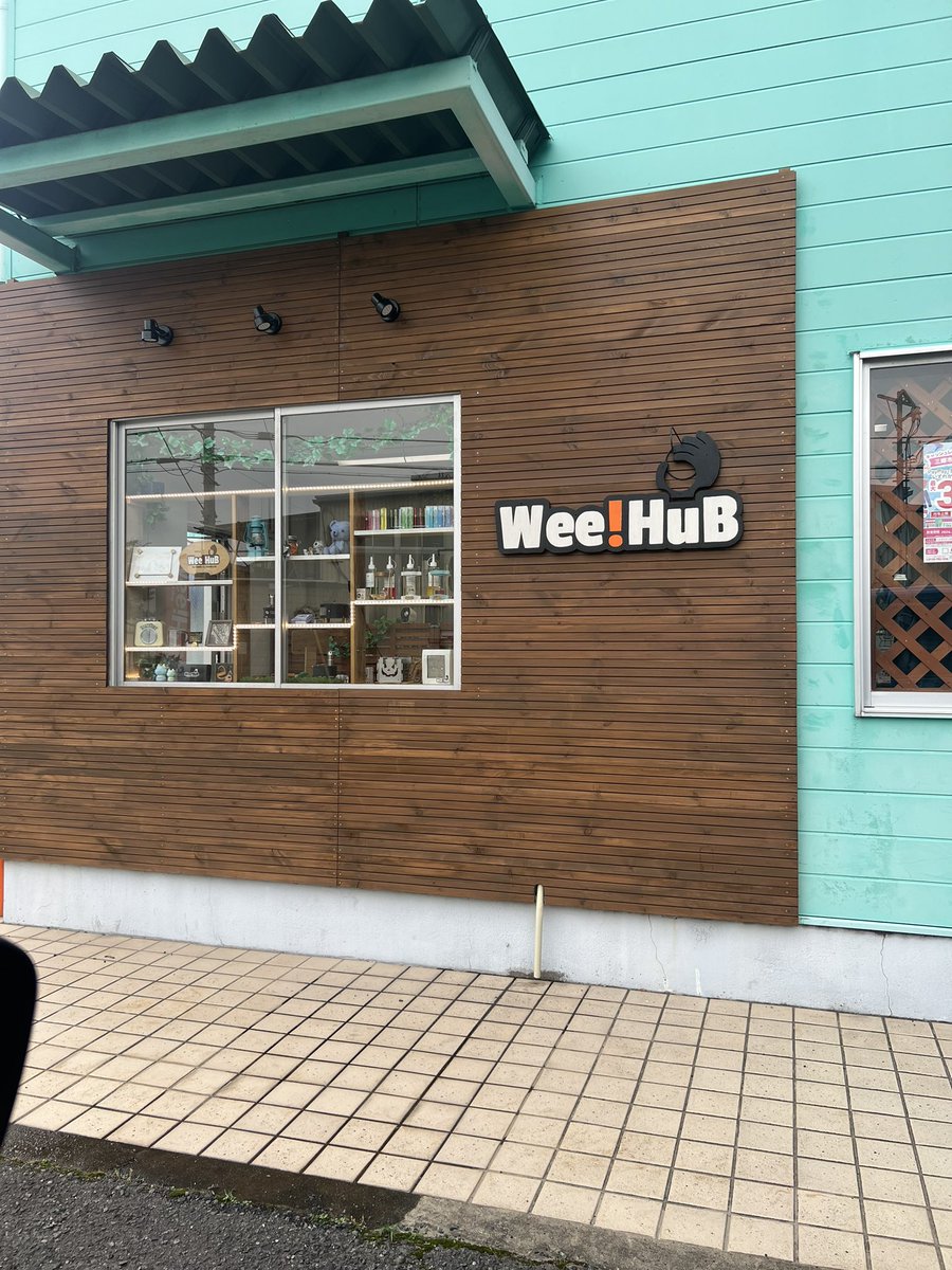 camp_uki's tweet photo. やっぱり癒される、金ちゃんのお店✨
お仕事お願いしちゃいました😆🙌
#WeeHub https://t.co/6HCYZ9v8nI