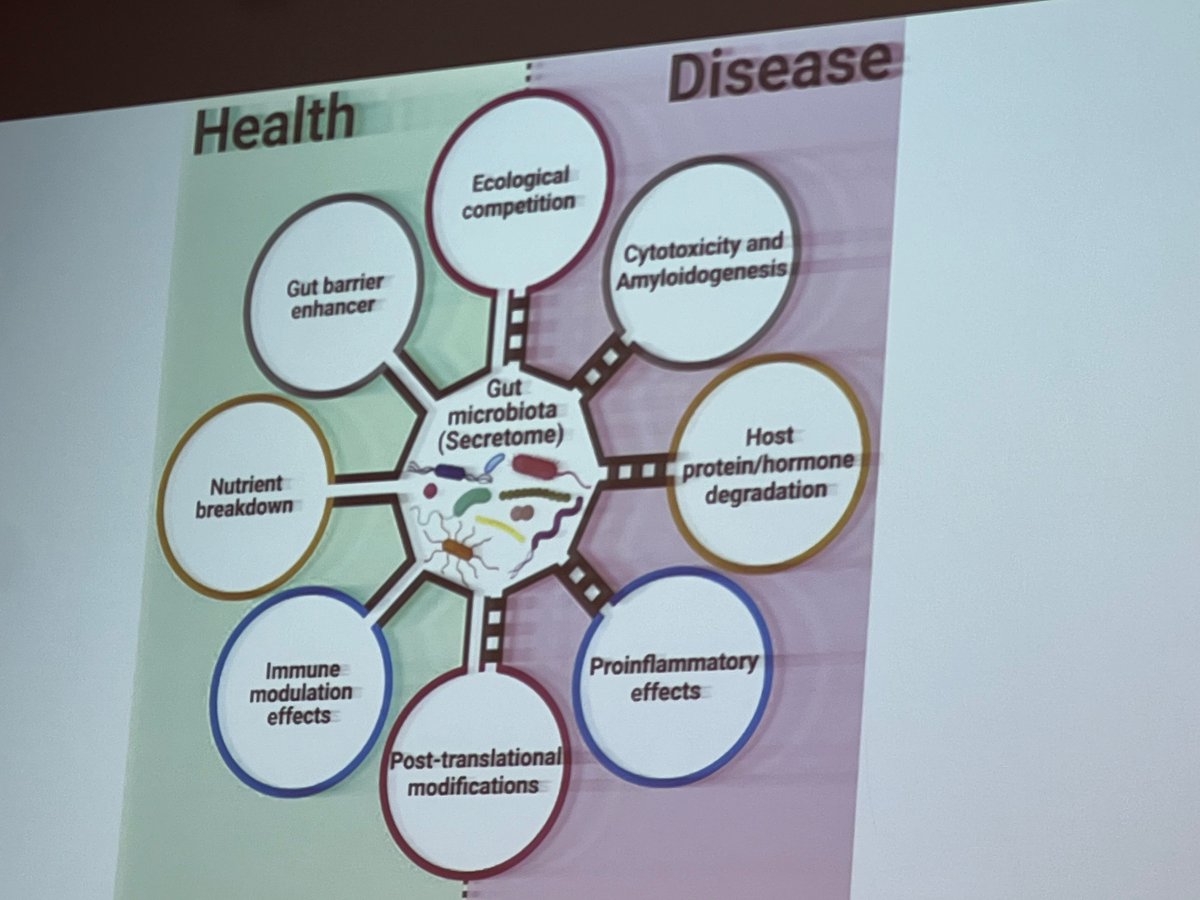 La microbiota intestinal es un “súper órgano” que controla múltiples funciones en el cuerpo y su disbiosis se relaciona con múltiples enfermedades. El tratamiento es con probiótico 5D, animémonos a recetarlo <a href="/CortesXacori/">Xavier cortes rizo</a> #AVAIC