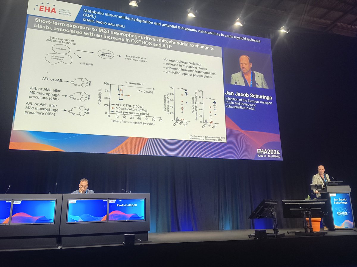 dap_martins's tweet image. Fantastic talk from @SchuringaJan on the latest data from the @SchuringaLab about the metabolic heterogeneity in AMLs and the role of the tumor microenvironment on metabolic abnormalities/adaptation in AML at #EHA2024!