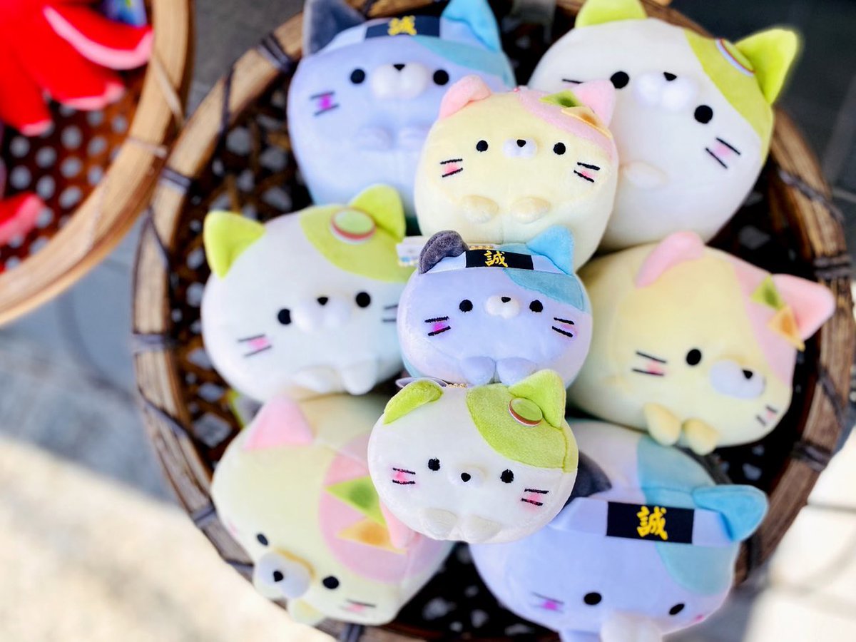 ちっちゃいにゃんこ₍˄·͈༝·͈˄₎新登場✨小さくなってもふわふわもちもち