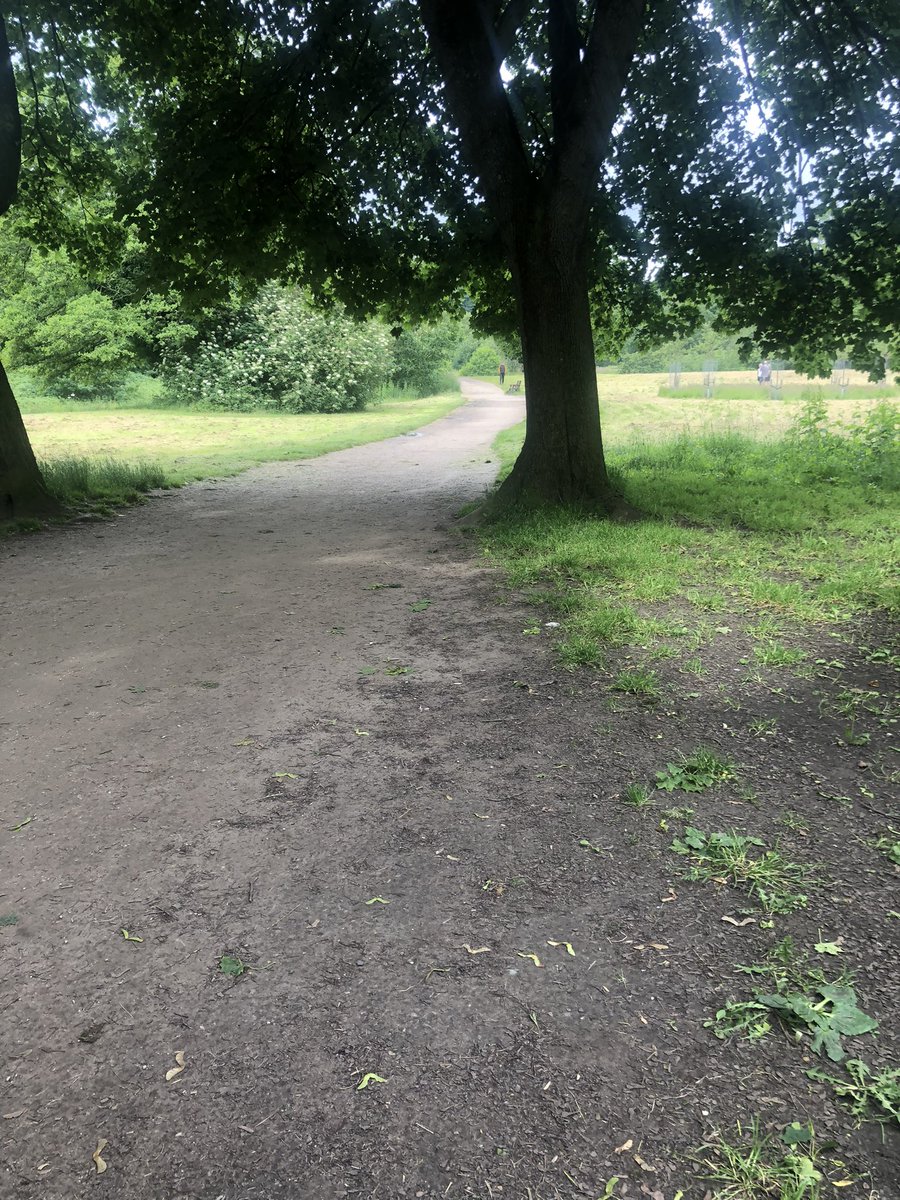 SamABaxter's tweet image. Wilmslow parkrun this morning. Nice out and back twice. Hopefully get the palledrome challenge today (31:13), but wait until the official results #ukrunchat