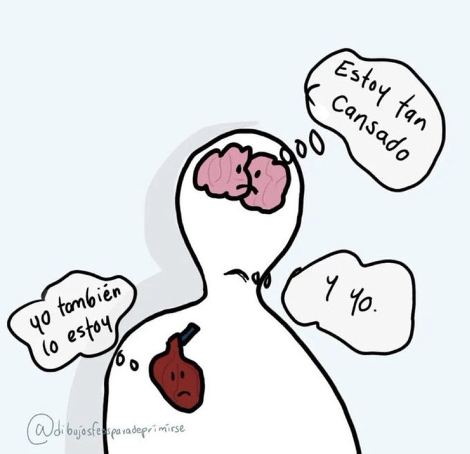 vibesfyp's tweet image. 