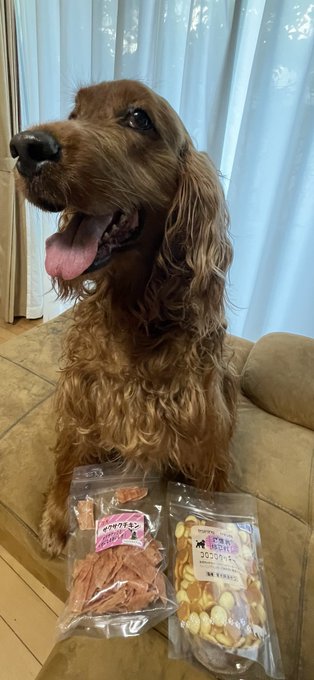 Twitterのコスプレ画像29