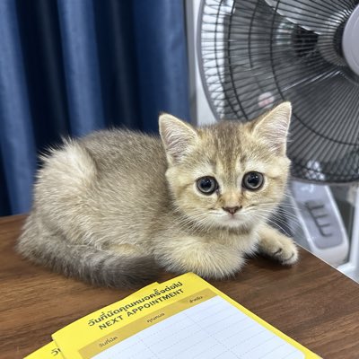 Greckvctr's tweet image. #NewProfilePic