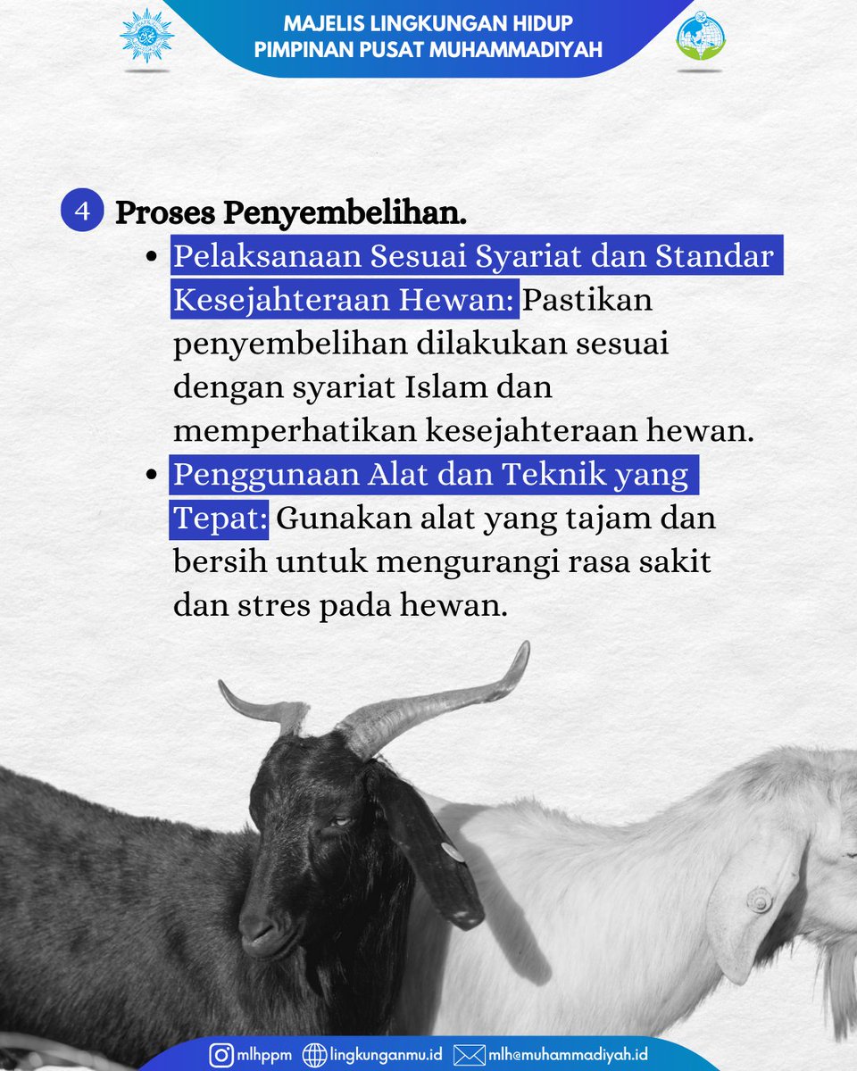 MLH PP Muhammadiyah tweet media