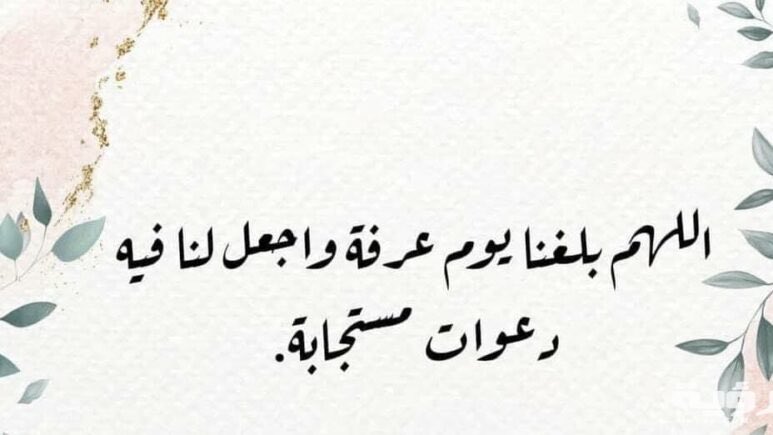 afaf2002's tweet photo. https://t.co/FjoP9fAa5L