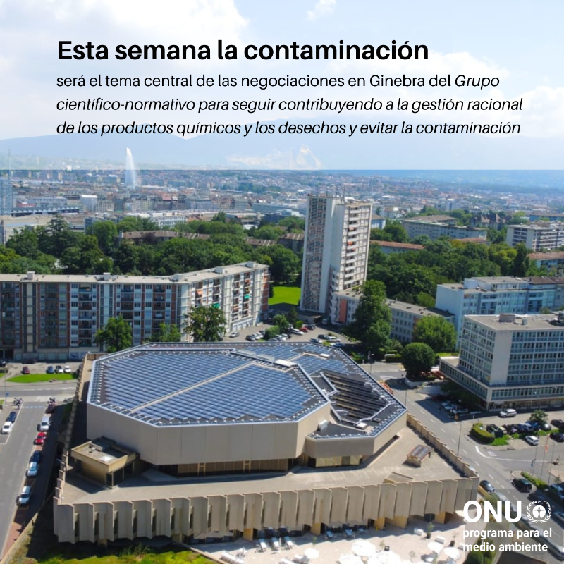 Esta semana en Ginebra: reuniones clave por un 🌎 #SinContaminación para crear un organismo que proporcione a los responsables políticos información sólida e independiente sobre:
🧪productos químicos
🗑️desechos
🚯contaminación.

🔴 Evento en línea #OEWG3:
unep.org/events/confere…