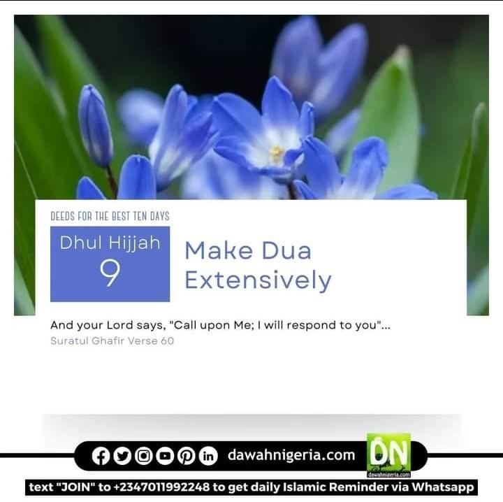 dawahnigeria's tweet photo. *Dhul Hijjah Day 9*
Today is 9th of Dhul-Hijjah which is also the day of Arafah, *make dua extensively.*
#DhulHijjah
#best10days
#DayofArafah
#Dawahnigeria https://t.co/SWx6YNmSlV