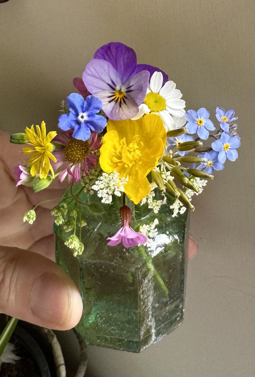 Emma Mitchell 💙 tweet media