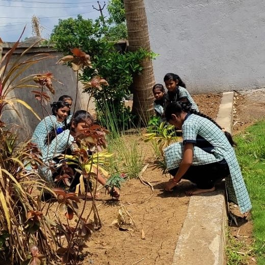 સમગ્ર શિક્ષા ગાંધીનગરની પ્રેરણાથી સમગ્ર શિક્ષા વલસાડના માર્ગદર્શન હેઠળ આજરોજ કપરાડા તાલુકાની શાળાઓમાં #Eco_Club_For_Mission_Life અંતર્ગત #Healthy_Lifestyle Day 1ની પ્રવૃત્તિઓ કરવામાં આવી. જેમાં તમામ શાળાઓમાં વૃક્ષારોપણ અને વિવિધ પ્રકારની વનસ્પતિઓની જાણકારી બાળકોને આપવામાં આવી.