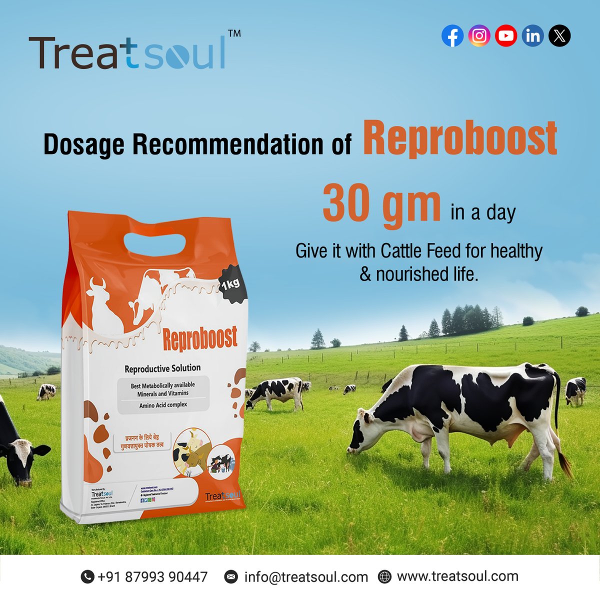 treatsoulpharma's tweet photo. 💢We recommend a daily dosage of 30 grams of Reproboost mixed directly with cattle feed. This ensures your cows receive the optimal amount of essential nutrients for a healthy and nourished life.💢
#Reproboost #DairyCattle #CattleHealth #AnimalFeed #Treatsoulpharma https://t.co/BApK5dhMTy