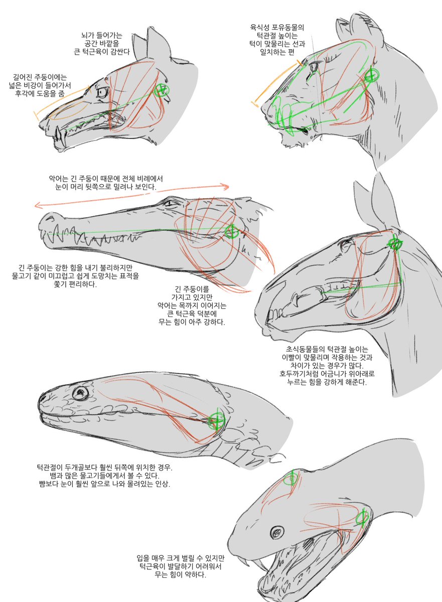 Pirata Drawing account tweet media