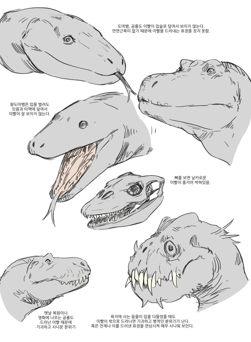 Pirata Drawing account tweet media