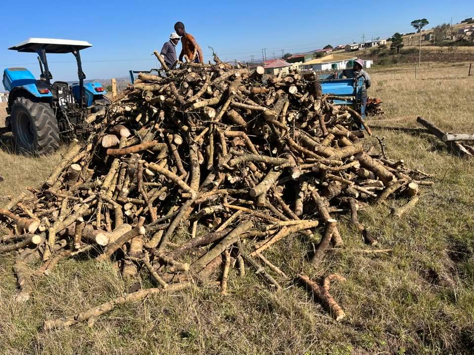 Butterworth People, xanidinga iinkuni, contact me. Please Retweet my customers could be on your TL.