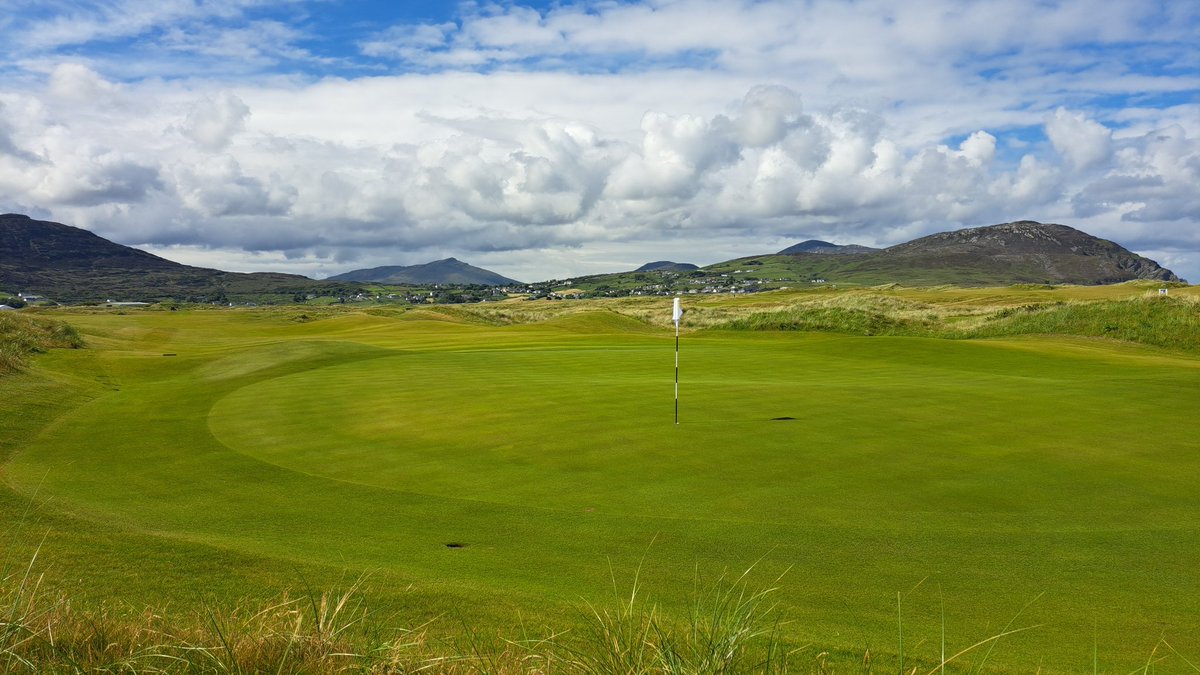 David Feeney tweet media