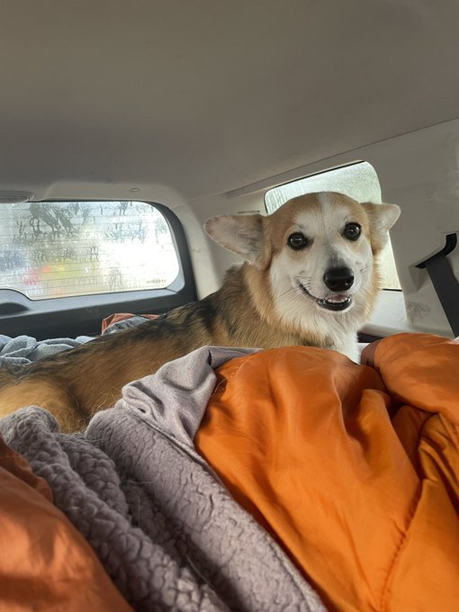 It got cold and rainy at the Oregon campsite last night and our California equipment wasn&rsquo;t prepared