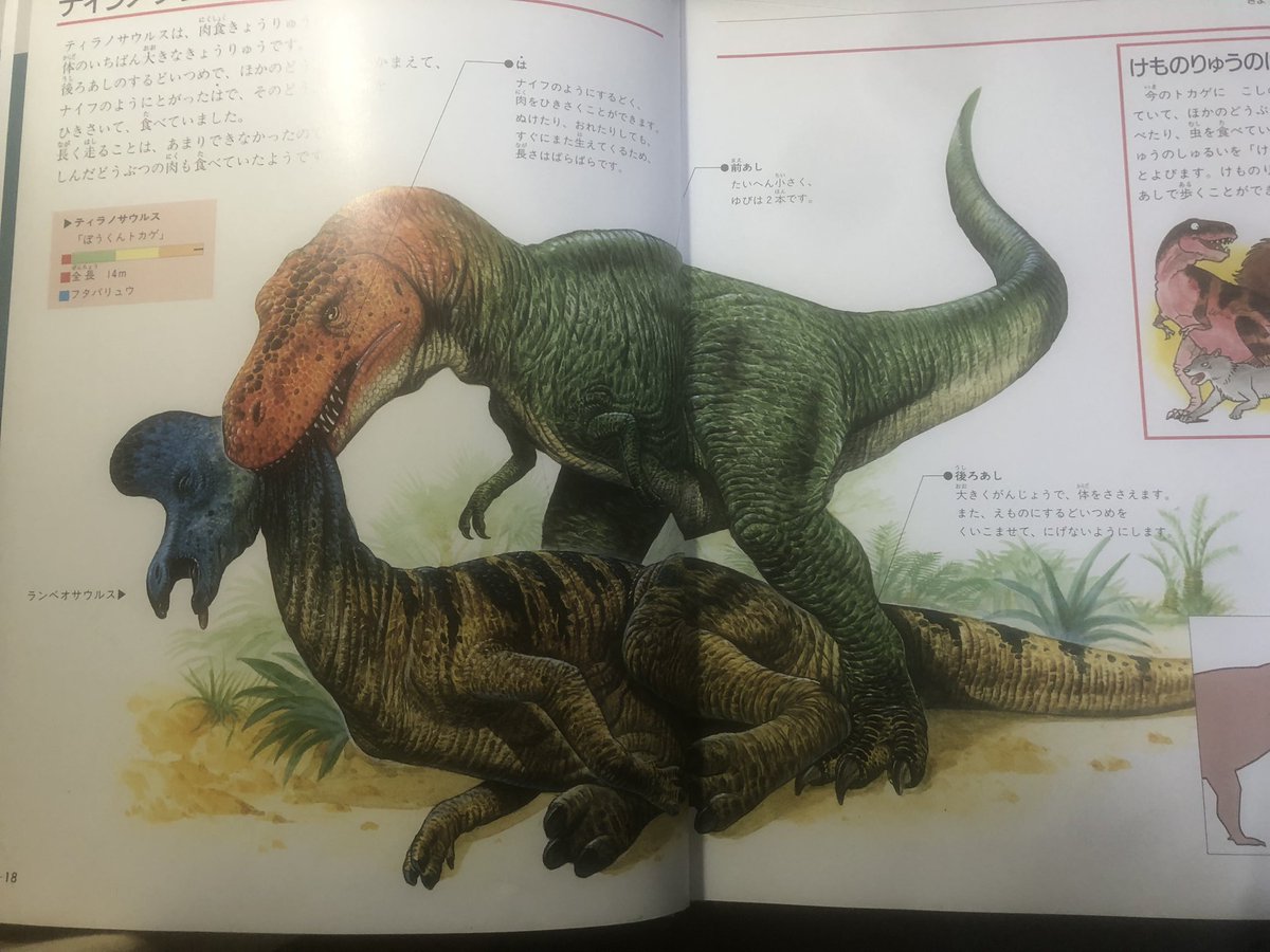 小学校の図書館に置いてあった懐かしすぎる恐竜図鑑が、古本だけど奇跡