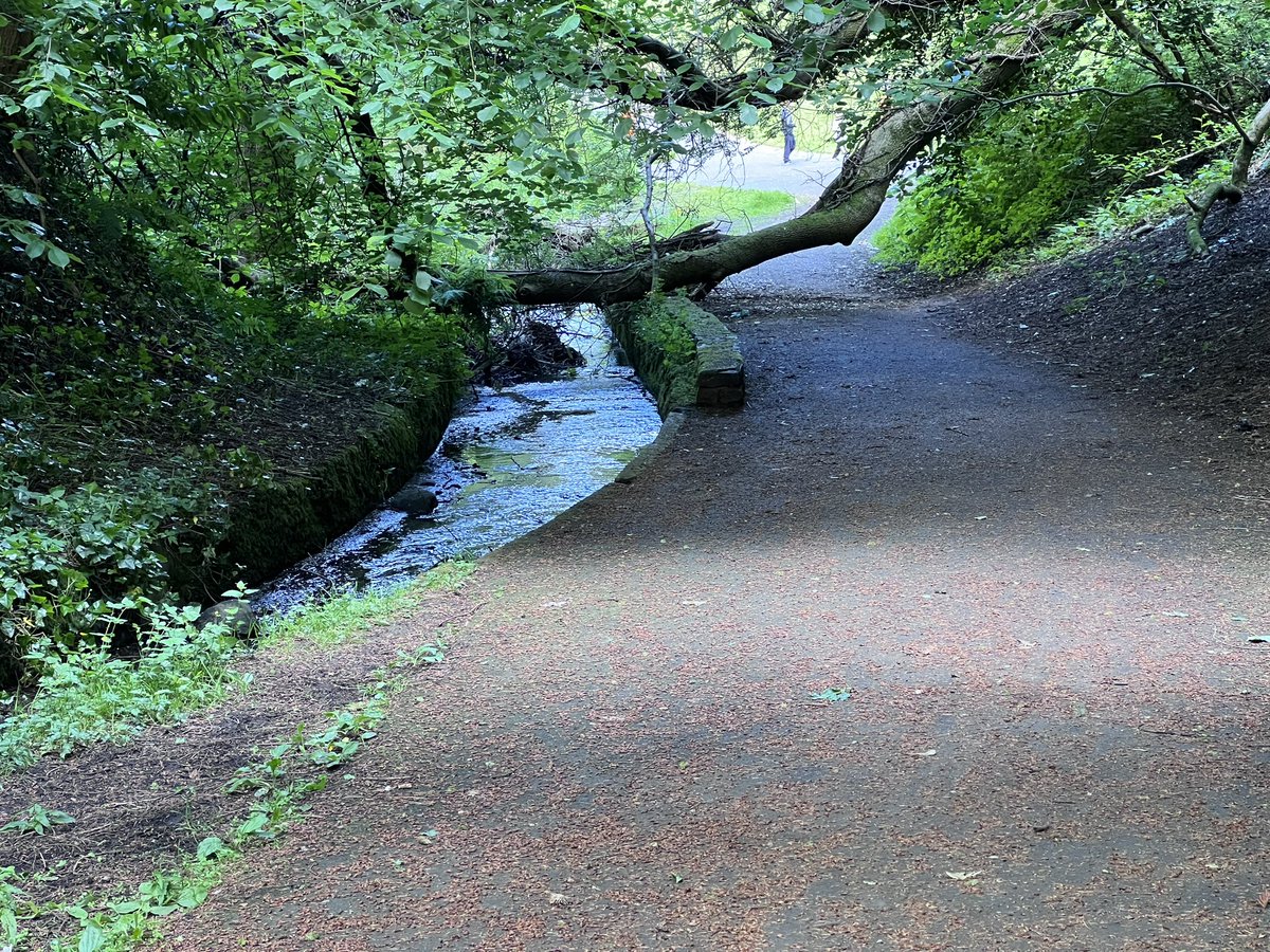 twistedpixel8's tweet photo. @SouthLanCouncil I assume you’ve been made aware of this and there’s a plan to remove it? It’s been here for weeks. Cambuslang Park. Thanks! https://t.co/lMf6JynXIM
