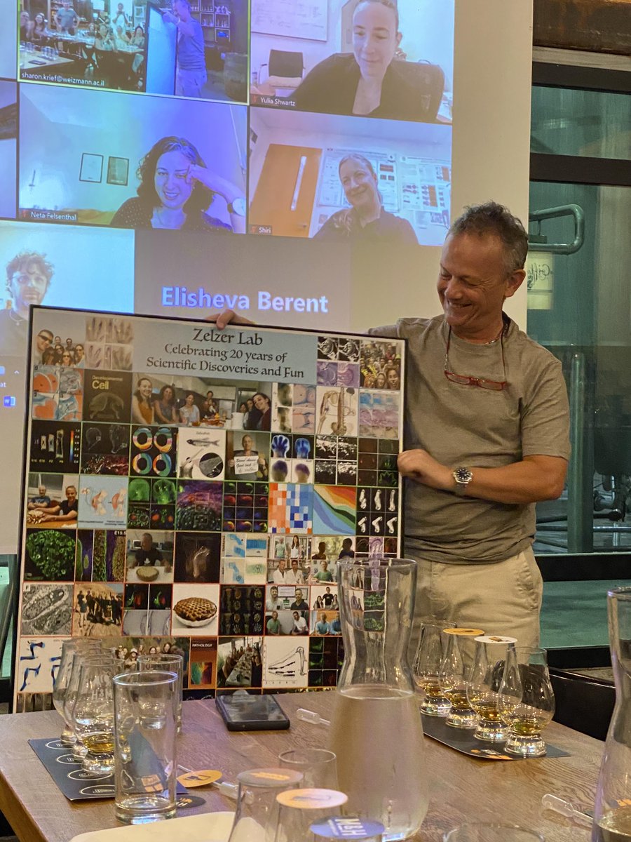 ZelzerLab tweet media