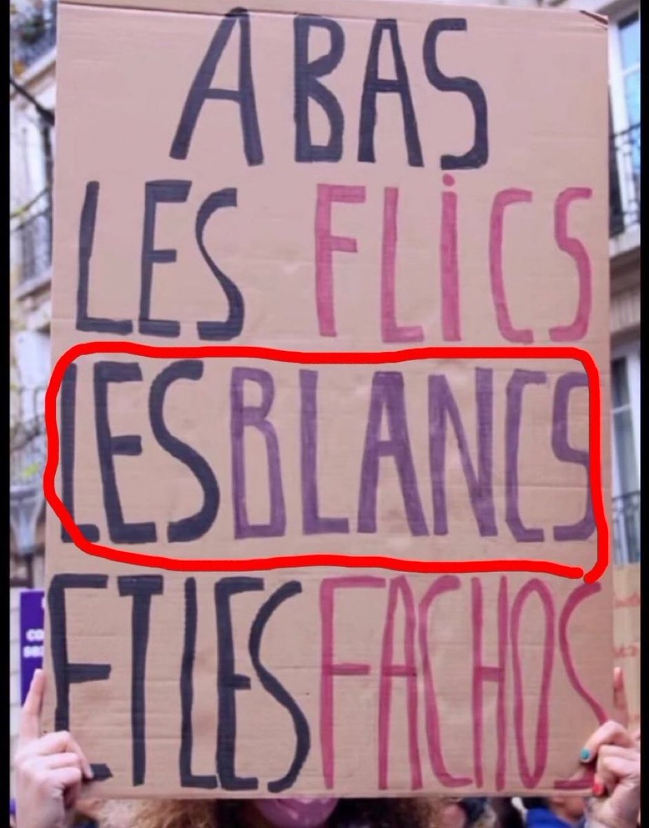 Narmesa's tweet photo. Si vous ne voulez ni flics ni blancs il y a énormément de pays sur le continent Africains qui vous conviendront très bien. #manifestation #bardella #bardellapremierministre https://t.co/BoLazOJBbc
