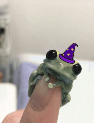 <a href="/Noahhweb3/">Noah 🌌</a> THE FROG HAS A HAT $KERO
