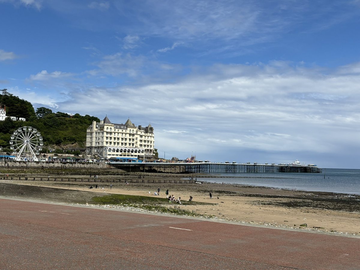 Mary Duff Official tweet media