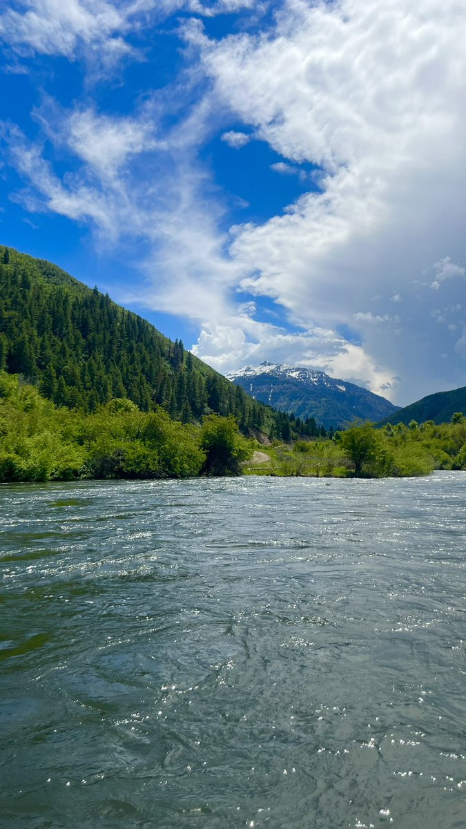 KC 🇸🇻 tweet media