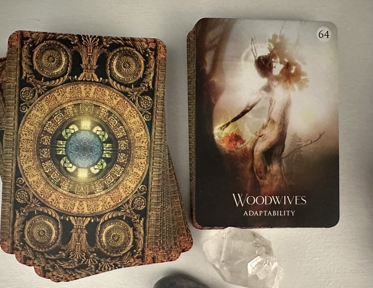 mytarotcoach's tweet image. Shamans Dream Oracle Card of the Day #COTD #dailyoraclereading #dailytarotreading 

No. 64 WOODWIVES: adaptability, strong roots, growth.