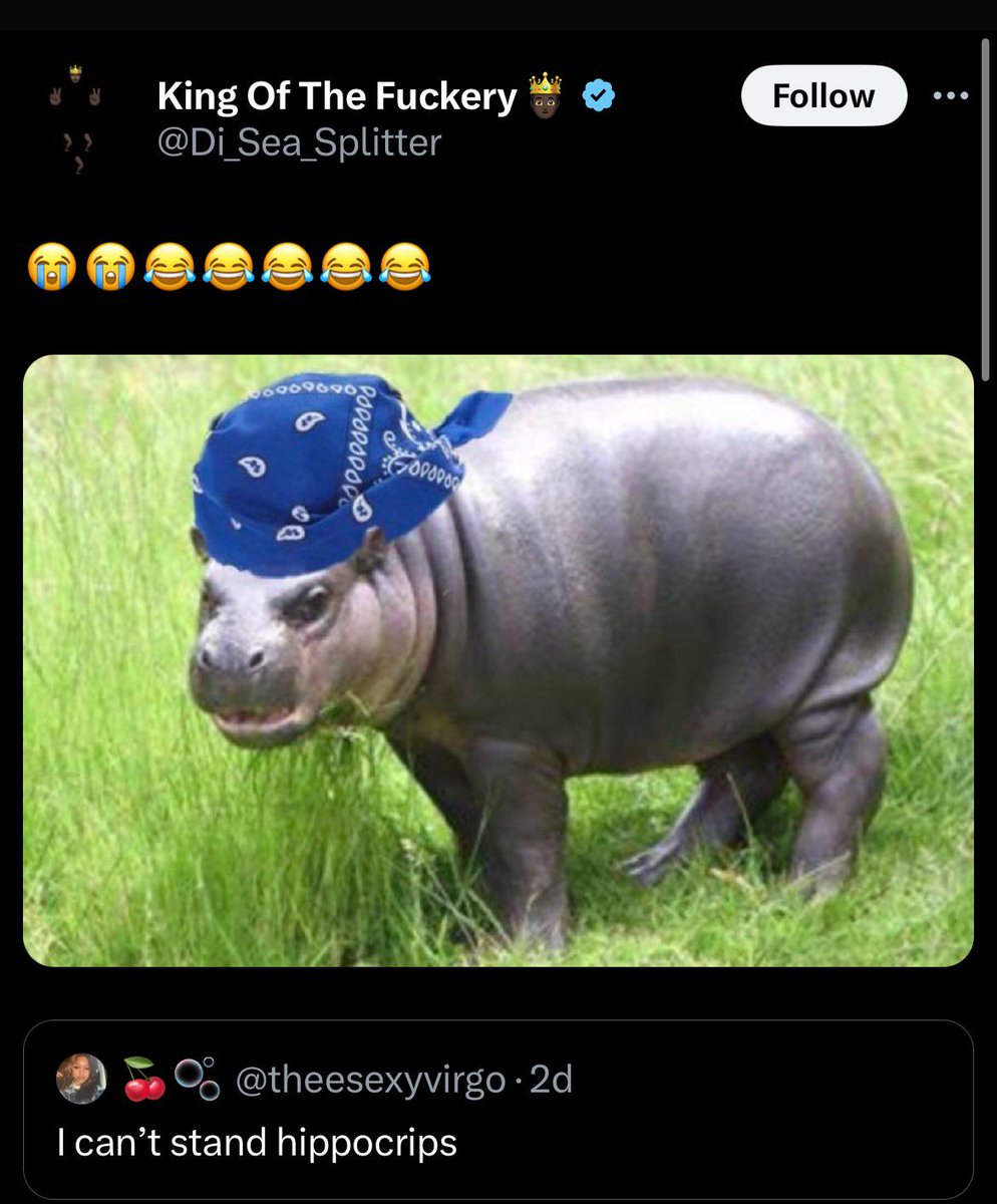 Dank Meme Dealer 👌🏽 tweet media