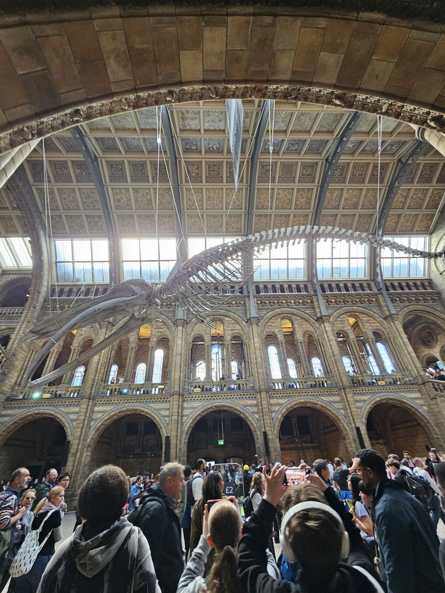 Hello Ecolanders 👋

Here's a photo from UK's National History Museum - 📸 from our co-founder @ClaudiuChelcea.

He's coming back tomorrow, and we're working in the meantime on Omir 🔥

How is your day going?