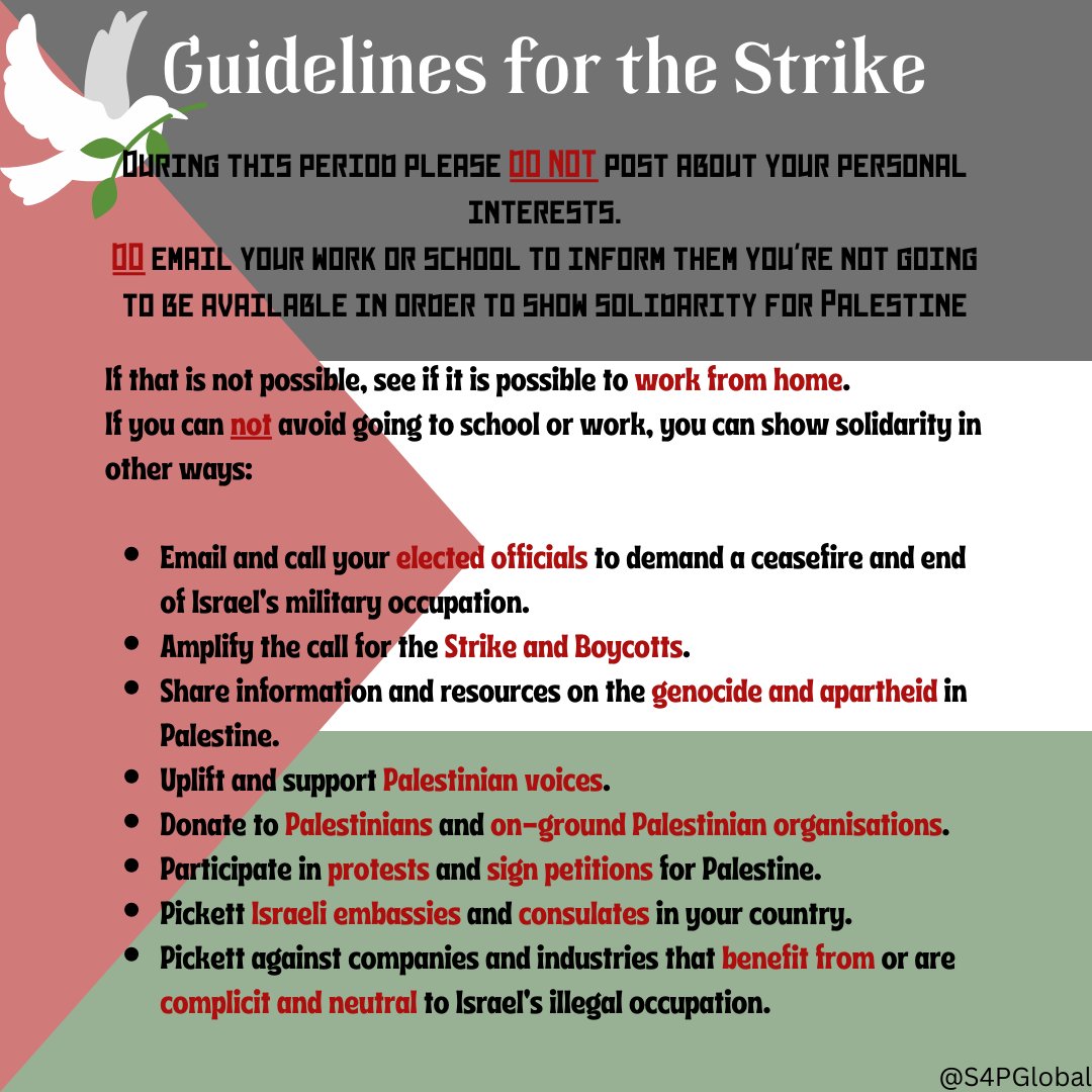 S4PGlobal's tweet photo. It's 4 hours to June 16th! For one week there will be a strike for Palestine!
Please read through the rules so you can know what to do to participate in this strike!

#StaysForPalestine
#StrikeForPalestine https://t.co/8ND3stKCLp
