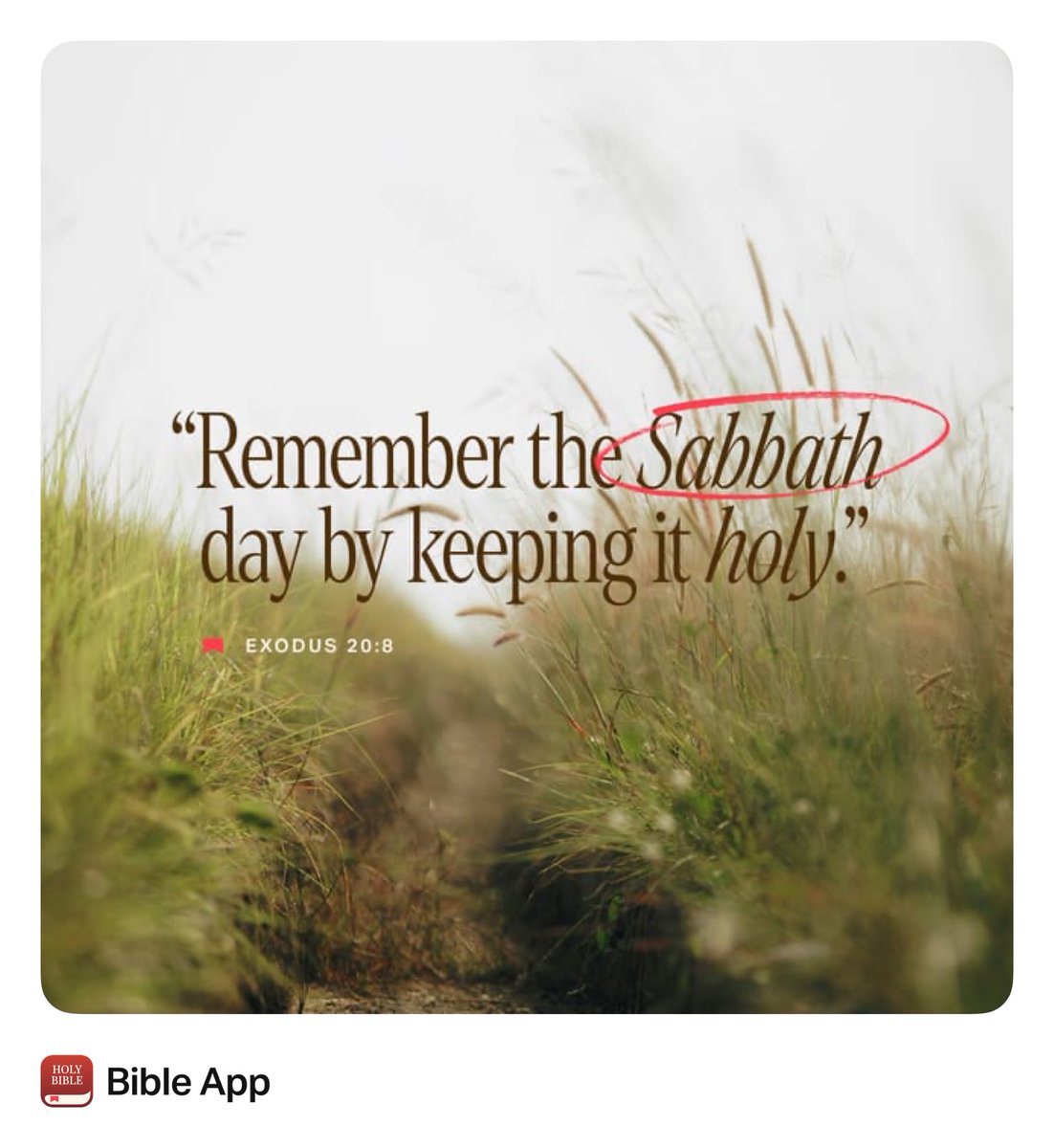 Mississippi Glory Premier 16U Lewis 2023 (@msglory16u) on Twitter photo 