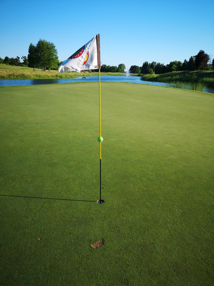 Luke Paddle tweet media