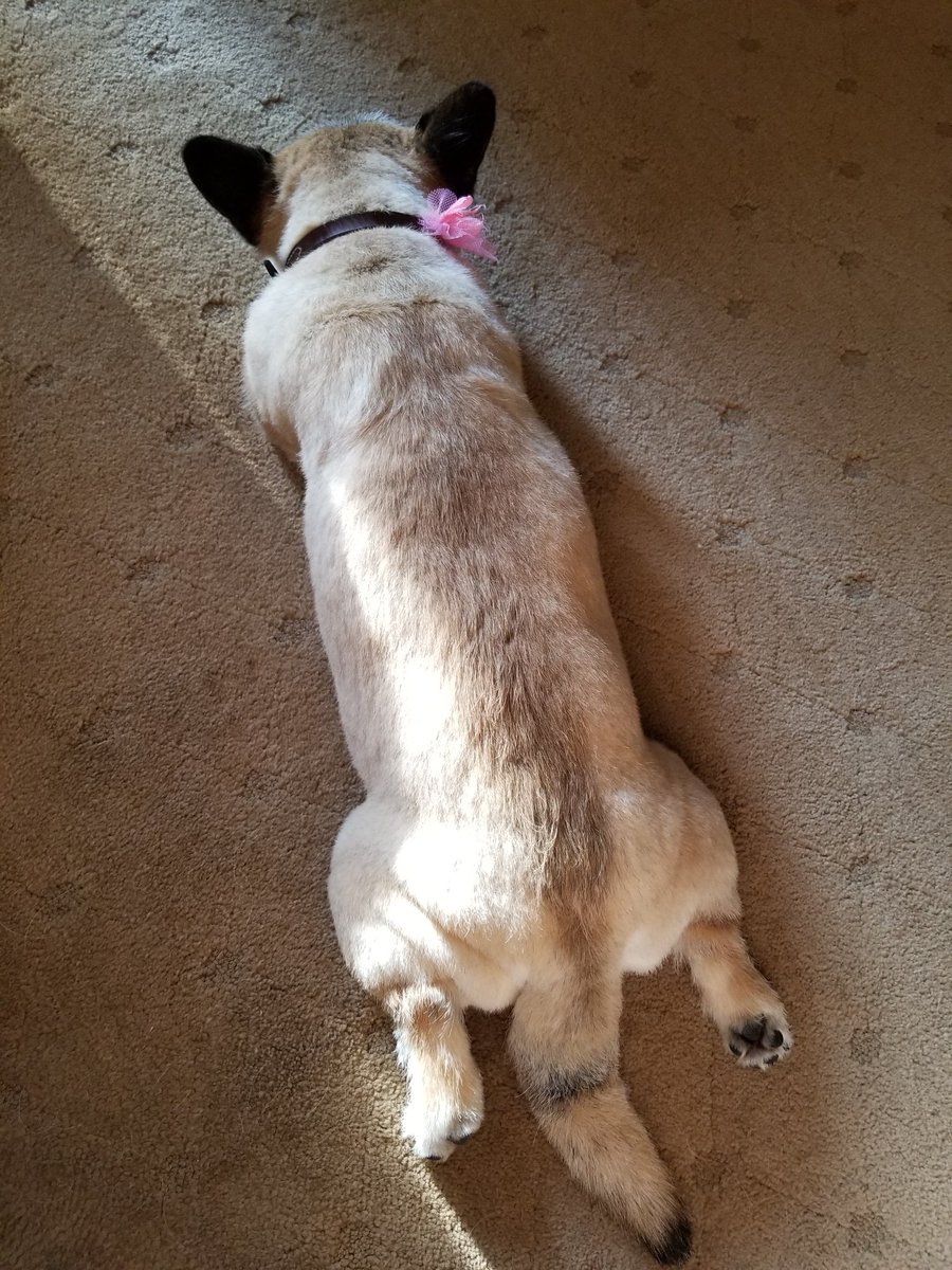 Morning friends. After getting up at 5:30 all week we slept until 7am this morning. It's going to be hot here so I'm planning to take it easy inside while mama spends the day with her bestie. I hope you are planning a fun safe day &amp; remembering to always #BeKind ❤️