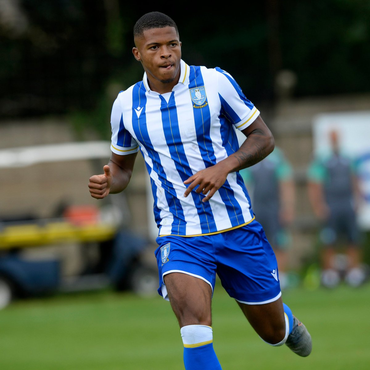 SWFCeveryday's tweet image. No 837 - Luke Cook. After a youth career with Enfield Town and Merstham forward Cook joined #SWFC in 2022. He played only once for the owls, in the EFL Cup, and was an unused substitute for a few more games.