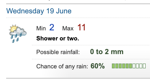 ham 🪴 tweet media