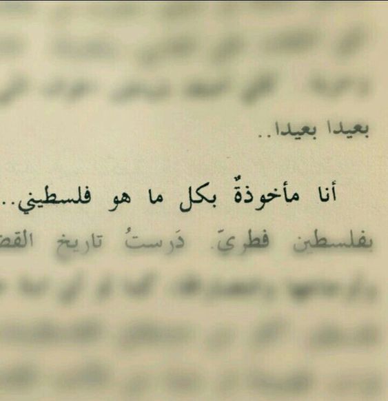 ♥Sαяα tweet media