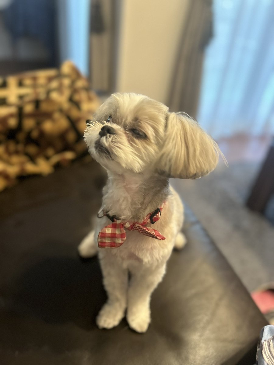 ようやくさっぱり