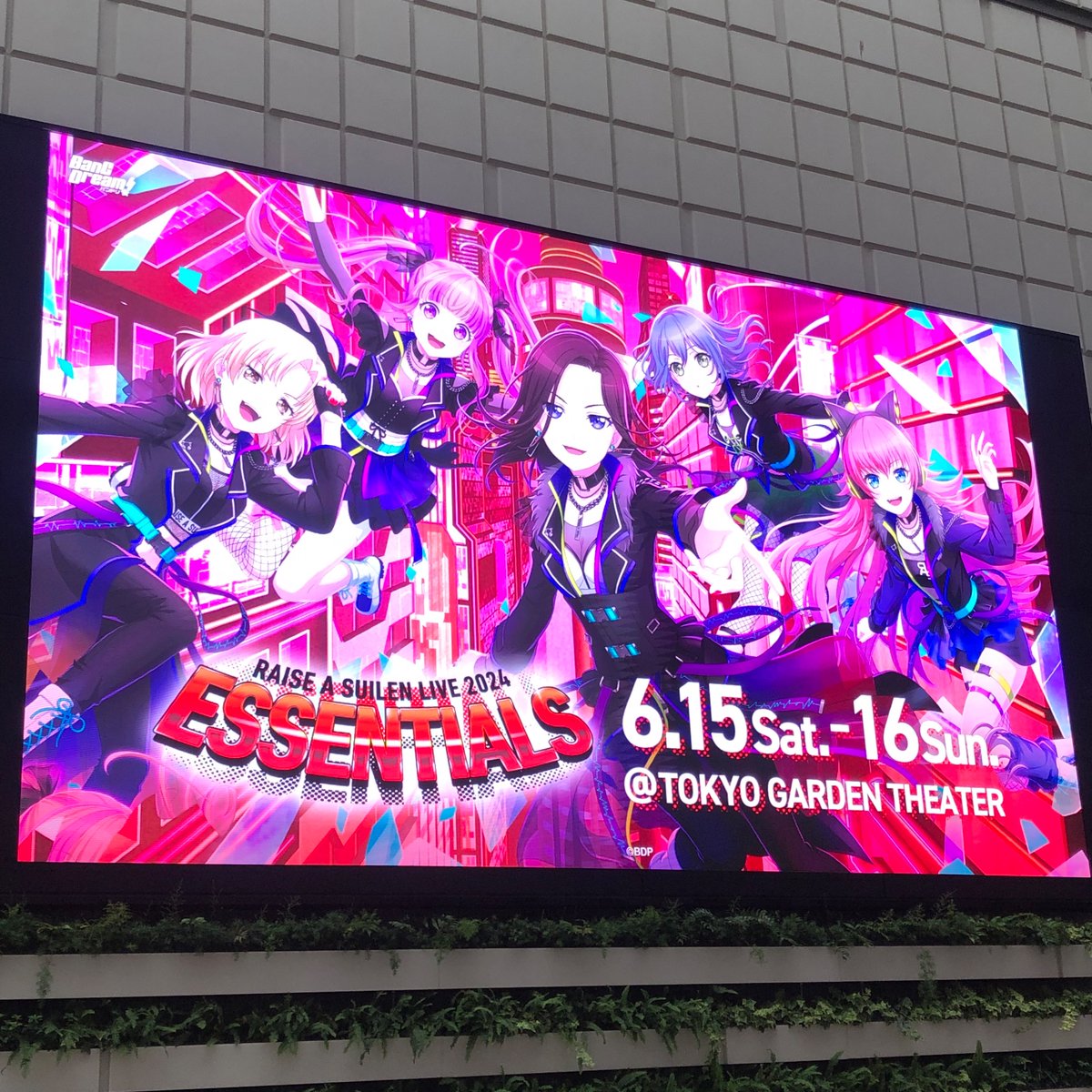 Saya_titech's tweet photo. 今日はRAISE A SUILEN LIVE 2024「ESSENTIALS」DAY1に参加するため東京ガーデンシアターにきました！
アガる曲ばっかりで爆舞に次ぐ爆舞でした！！
明日も対戦よろしくお願いします！！！！ https://t.co/vbsqBl74da
