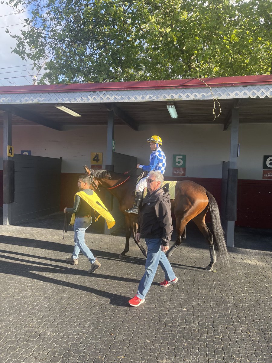 Matsqui in the paddock prior to winning the 2nd race <a href="/hastingsraces/">Hastings Racecourse</a> Friday night. Great ride from Amadeo and Mark Freeman had her ready to stretch out. Happy for our partners, onwards and upwards! <a href="/aMattStory/">Matthew Elder</a> <a href="/BcCths/">CTHS BC DIVISION</a> <a href="/HBPA_BC/">HBPA BC</a> <a href="/HSTRacingClub/">Hastings Racing Club</a> <a href="/denisepraill/">Denise Praill (she/her) 🌺</a>