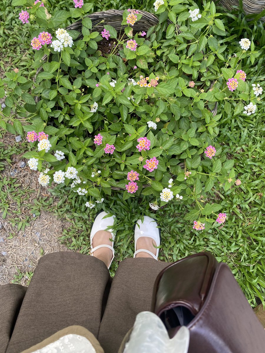 yourfavoctober's tweet photo. goooood day*🌲🍒🔆👜 https://t.co/gjTfd6UiyJ