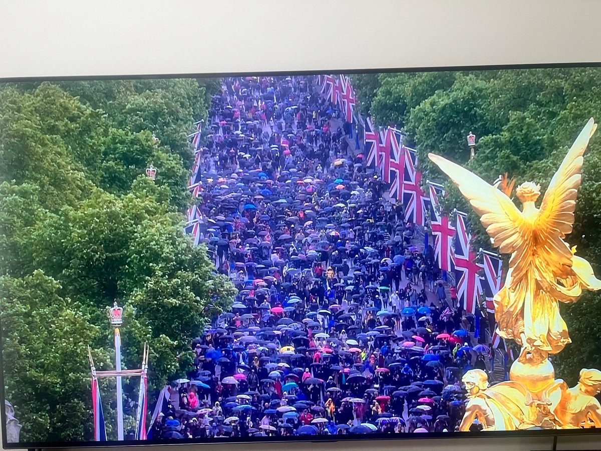 This is The Mall today, everyone heading to Buckingham Palace to support the “irrelevant” monarchy and to get a look at  Catherine