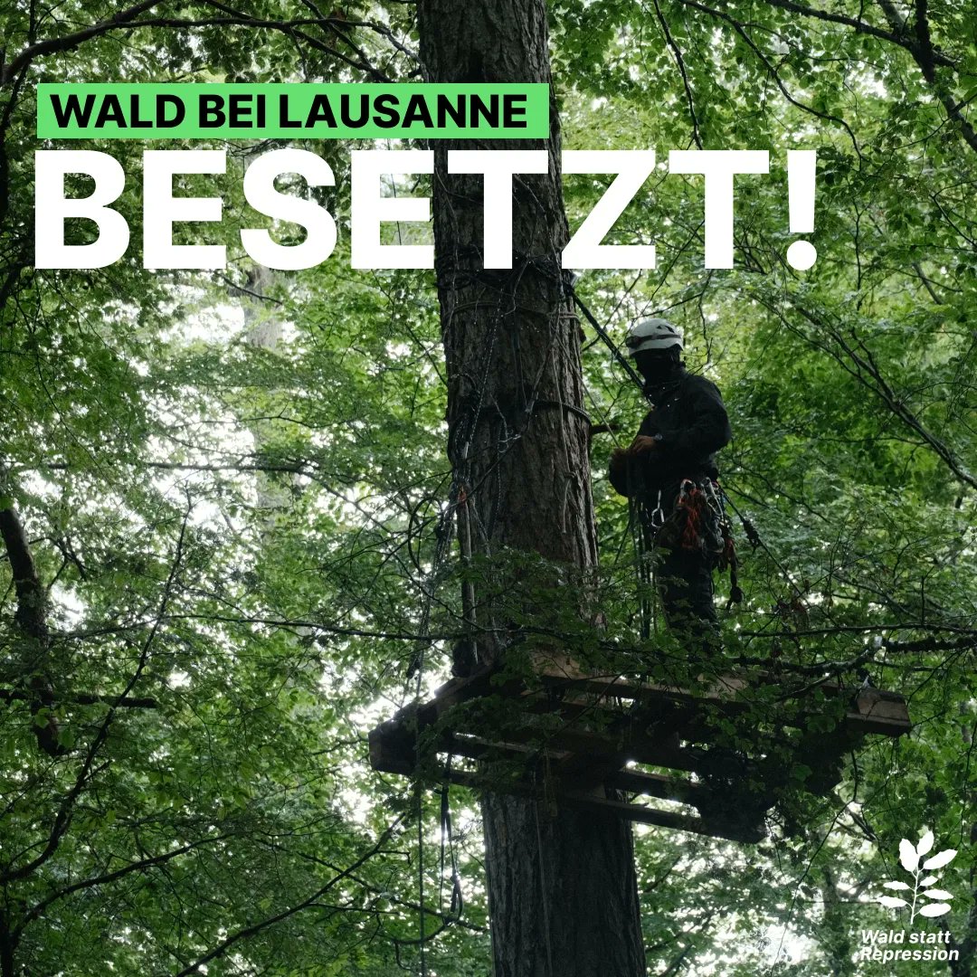 Grondements des Terres besetzt Wald im Kanton Waadt

Heute morgen wurde der Wald von Ballens besetzt. Dieser soll von Holcim und Orlatti für eine Kiesgrube zerstört werden.
Die Aktivist*innen freuen sich über Unterstützung – geht vorbei. Infos gibts bei @grondementsdesterres