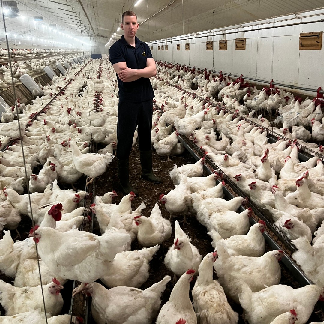 Poultec Training tweet media