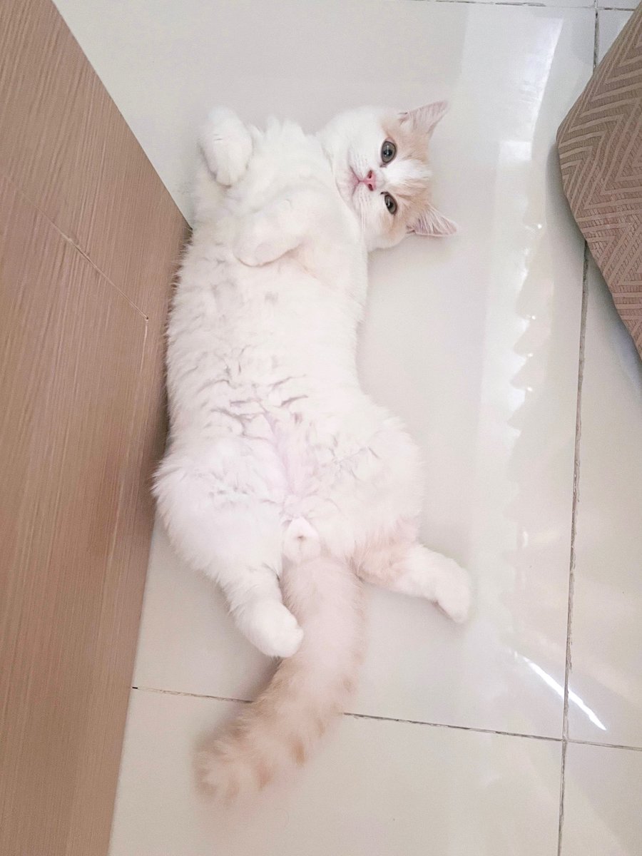 bini_sheena's tweet photo. my mauvey lovey https://t.co/0NFf4YblDi