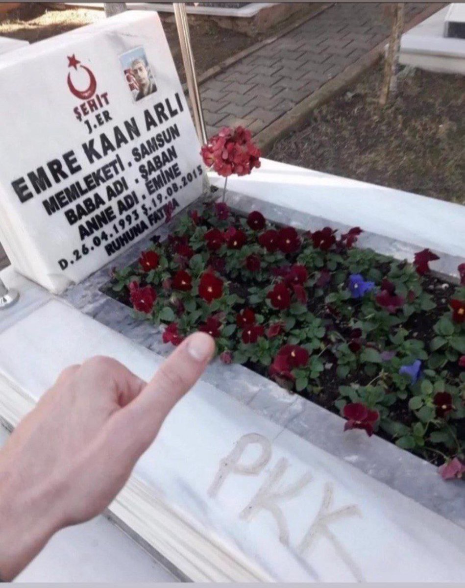 TBEP'İN selamı var kırmızı tabutçuklar
Lut kavmisiniz soyunuz tükendi😎