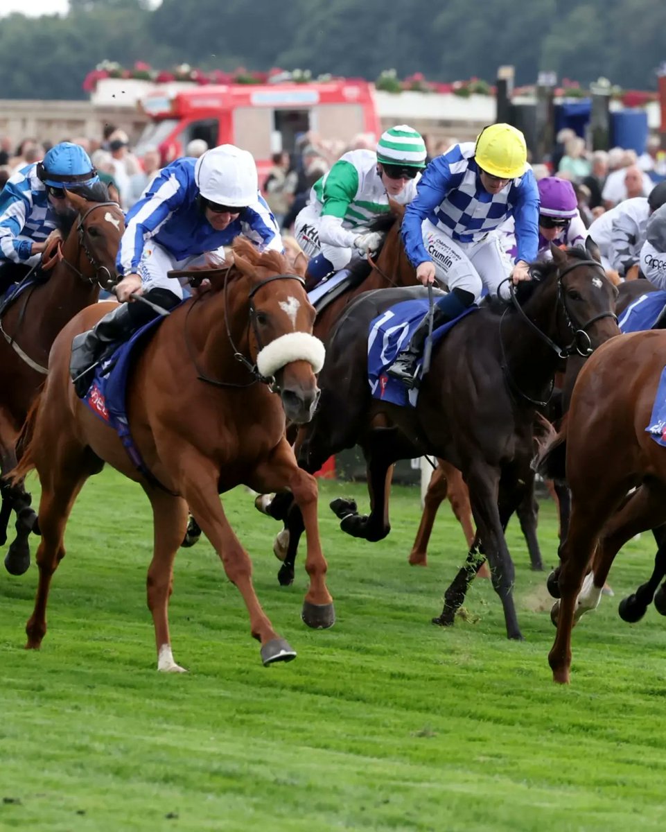 sadiespub's tweet photo. Today's live sport.
Irish &amp; UK racing from 13:30.
Bulls v Leinster KO 15:00.
Munster v Glasgow Warriors KO 18:00.
Hungary v Switzerland KO 14:00.
Spain v Croatia KO 17:00.
Italy v Albania KO 20:00.
US Open 20:00. https://t.co/JdDRLerjnJ